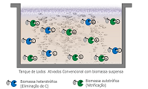 CFAS® e (IFAS)